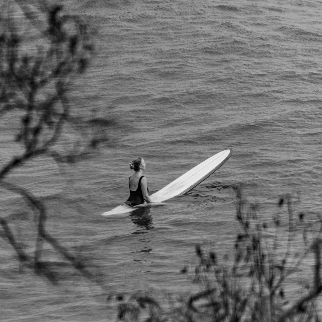 Surfer Mayhem: Lost Sues Lady Gaga for Trademark Infringement